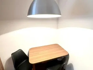 Pronájem bytu 2+1, Teplice, Americká, 56 m2