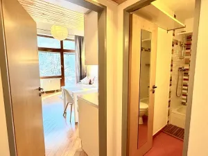 Pronájem bytu 1+kk, Praha - Libeň, Novákových, 24 m2