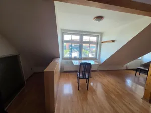 Pronájem bytu 4+kk, Plzeň, Přemyslova, 180 m2