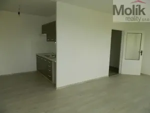 Pronájem bytu 1+kk, Most, Česká, 33 m2