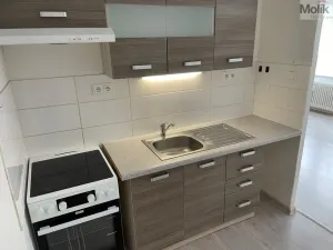 Pronájem bytu 1+kk, Most, Česká, 33 m2