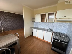 Pronájem bytu 1+1, Most, Brněnská, 33 m2