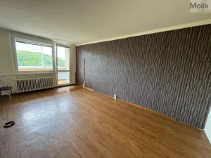 Pronájem bytu 1+1, Most, Brněnská, 33 m2