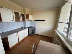 Pronájem bytu 1+1, Most, Brněnská, 33 m2