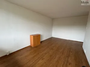 Pronájem bytu 1+1, Most, Brněnská, 33 m2