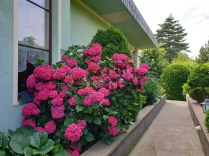 Prodej vily, Říčany - Strašín, Modřínová, 458 m2