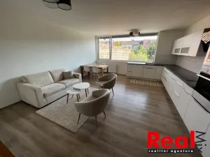 Pronájem bytu 3+kk, Brno, Klíny, 130 m2