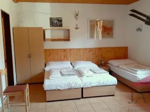 Prodej ubytování, Kašperské Hory - Opolenec, 234 m2