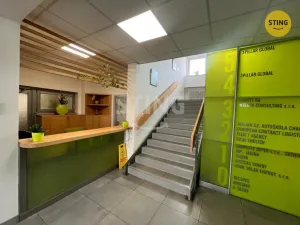 Pronájem kanceláře, Ostrava, Kounicova, 323 m2