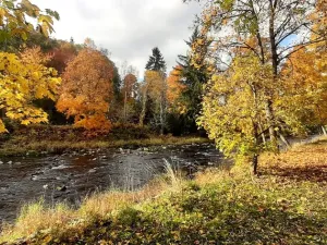 Prodej chalupy, Kašperské Hory - Opolenec, 234 m2