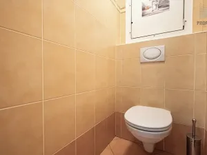 Prodej bytu 2+kk, Brno, Trýbova, 56 m2