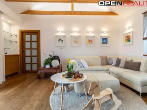 Prodej vícegeneračního domu, Dolní Bojanovice, Vinařská, 367 m2