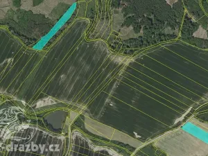 Prodej lesa, Chotýšany, 21423 m2