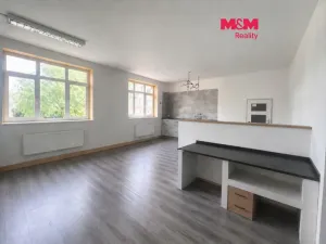Pronájem obchodního prostoru, Havířov - Město, Mickiewiczova, 40 m2