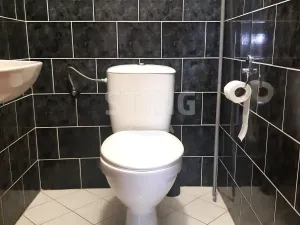 Pronájem bytu 3+1, Mělník, Fibichova, 116 m2