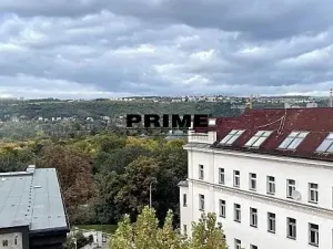 Pronájem bytu 3+1, Praha - Bubeneč, U akademie, 130 m2