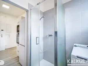 Pronájem bytu 2+kk, Hradec Králové, Střelecká, 58 m2