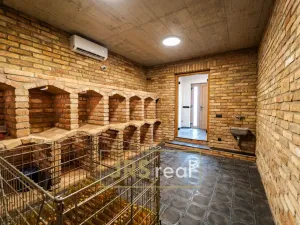 Prodej - jiné, Mikulčice, 100 m2