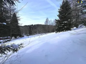 Prodej pozemku pro bydlení, Říčky v Orlických horách, 5940 m2