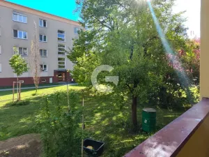 Pronájem bytu 2+1, Zlín, Dřevnická, 59 m2