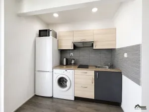 Prodej bytu 1+kk, Ostrava, Resslova, 27 m2