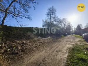 Prodej pozemku pro bydlení, Dolní Cerekev, 3350 m2