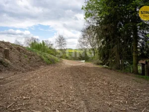 Prodej pozemku pro bydlení, Dolní Cerekev, 3350 m2