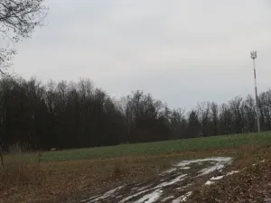 Dražba louky, Račice nad Trotinou, 18528 m2