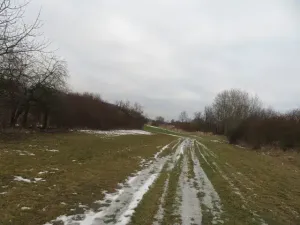 Dražba louky, Račice nad Trotinou, 18528 m2