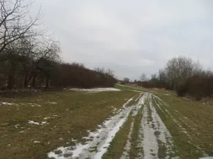 Dražba louky, Račice nad Trotinou, 18528 m2