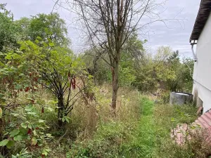 Dražba rodinného domu, Lubenec, Jelení, 164 m2