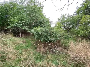 Dražba rodinného domu, Lubenec, Jelení, 164 m2