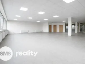 Pronájem obchodního prostoru, Hlučín, Cihelní, 167 m2