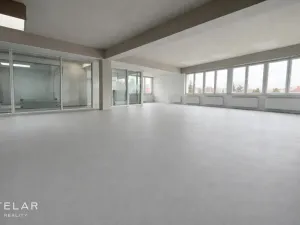Pronájem obchodního prostoru, Hlučín, Cihelní, 167 m2