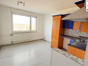 Prodej bytu 1+1, Cheb, Hrnčířská, 35 m2