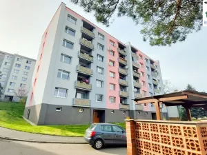 Prodej bytu 1+1, Cheb, Hrnčířská, 35 m2