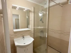 Pronájem bytu 1+1, Kolín - Kolín V, Mlýnská, 40 m2
