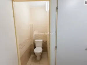 Pronájem bytu 1+1, Kolín - Kolín V, Mlýnská, 40 m2