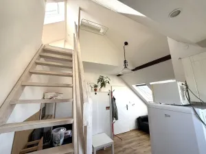 Pronájem bytu 2+kk, Brno - Černovice, Řehořova, 26 m2