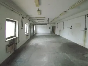 Prodej výrobních prostor, Stříbro, 300 m2