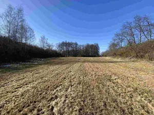 Prodej pole, Kváskovice, 10470 m2