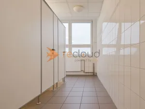 Pronájem kanceláře, České Budějovice - České Budějovice 3, K. Světlé, 18 m2