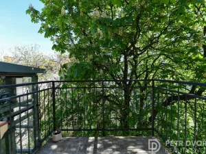 Pronájem bytu 2+kk, Praha - Vinohrady, Mánesova, 46 m2