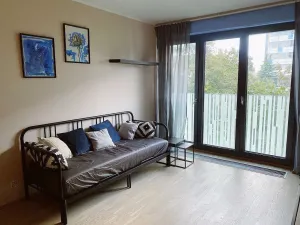 Pronájem bytu 1+kk, Praha - Žižkov, Olšanská, 32 m2