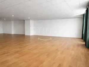 Pronájem obchodního prostoru, Ostrava, Denisova, 530 m2