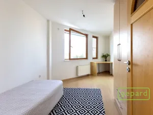 Pronájem bytu 5+kk, Brno, Slámova, 150 m2