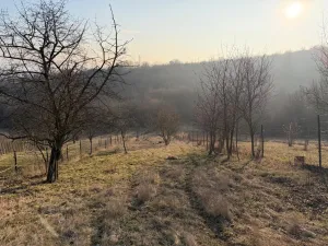 Prodej chaty, Litoměřice - Pokratice, U Medulánky, 1427 m2