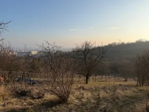 Prodej chaty, Litoměřice - Pokratice, U Medulánky, 1427 m2