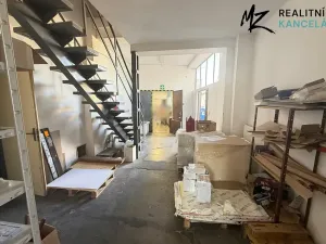 Prodej komerční nemovitosti, Přerov, 9. května, 608 m2