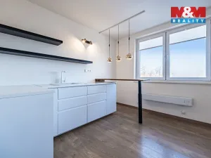 Prodej bytu 1+kk, Doubravčice, V bytovkách, 35 m2